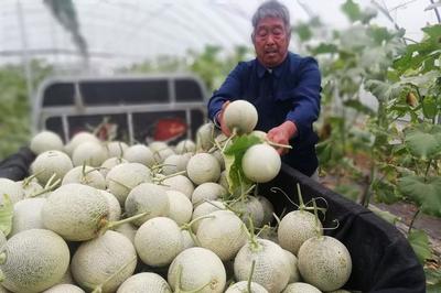 乡村旅游开发 农民致富新路径