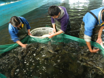 海安 以特色农业为基，串起旅游开发协同发展链
