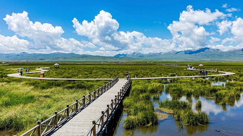 旅行社服务行业与旅游开发的融合发展趋势