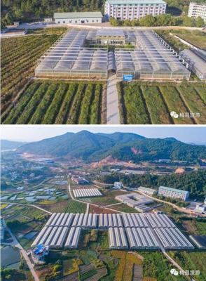 平衡发展与保护 旅游景点开发的可持续之路